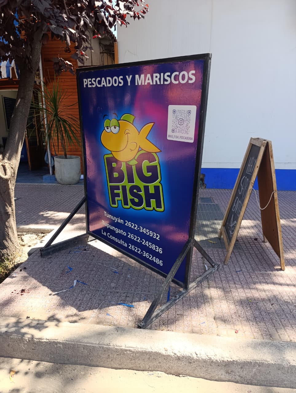 Trabajo de Jorge Balastegui