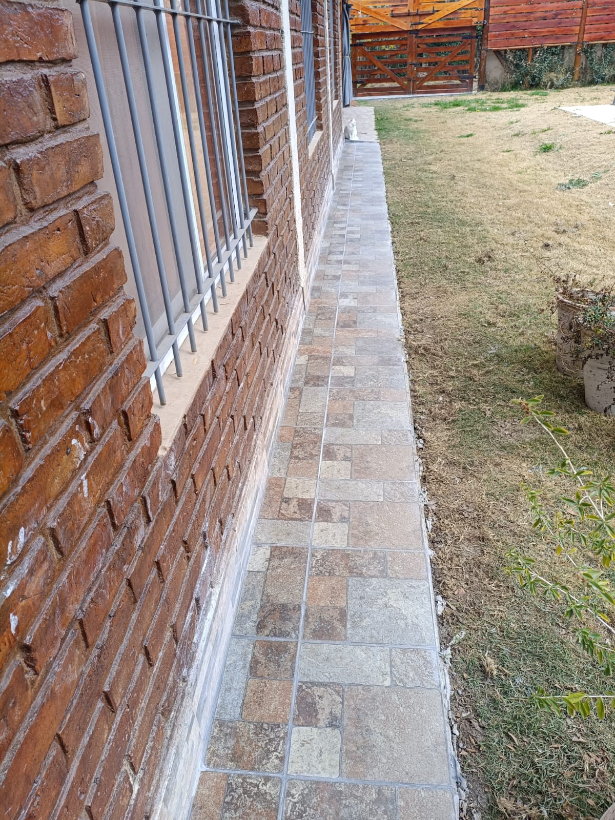 Trabajo de Alex Solar